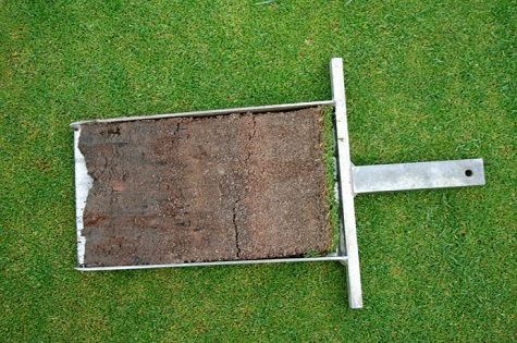 turf sample sml