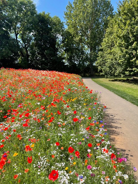 Stratford Upon Avon District Council Rainbow Annual Mix 5 sml