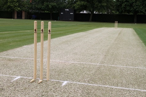 cricket wicket sml