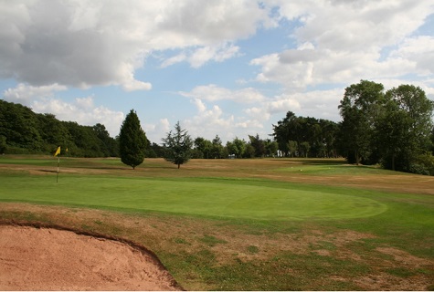 golf bunker green sml