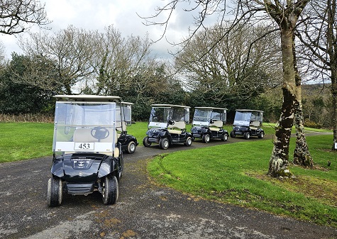 yamaha golf award golf cars sml